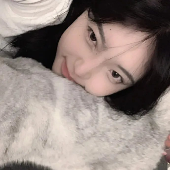 神烦警探第七季